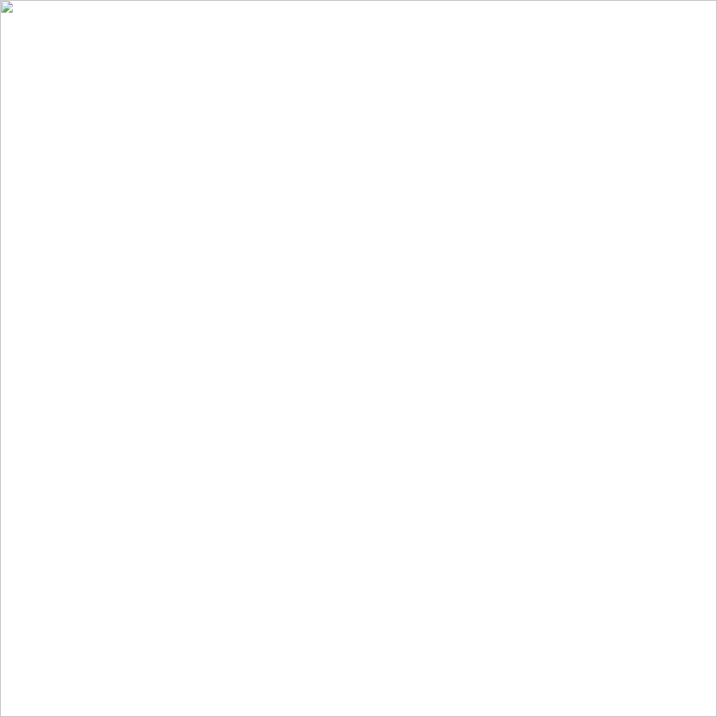 Flash Visualizer logo